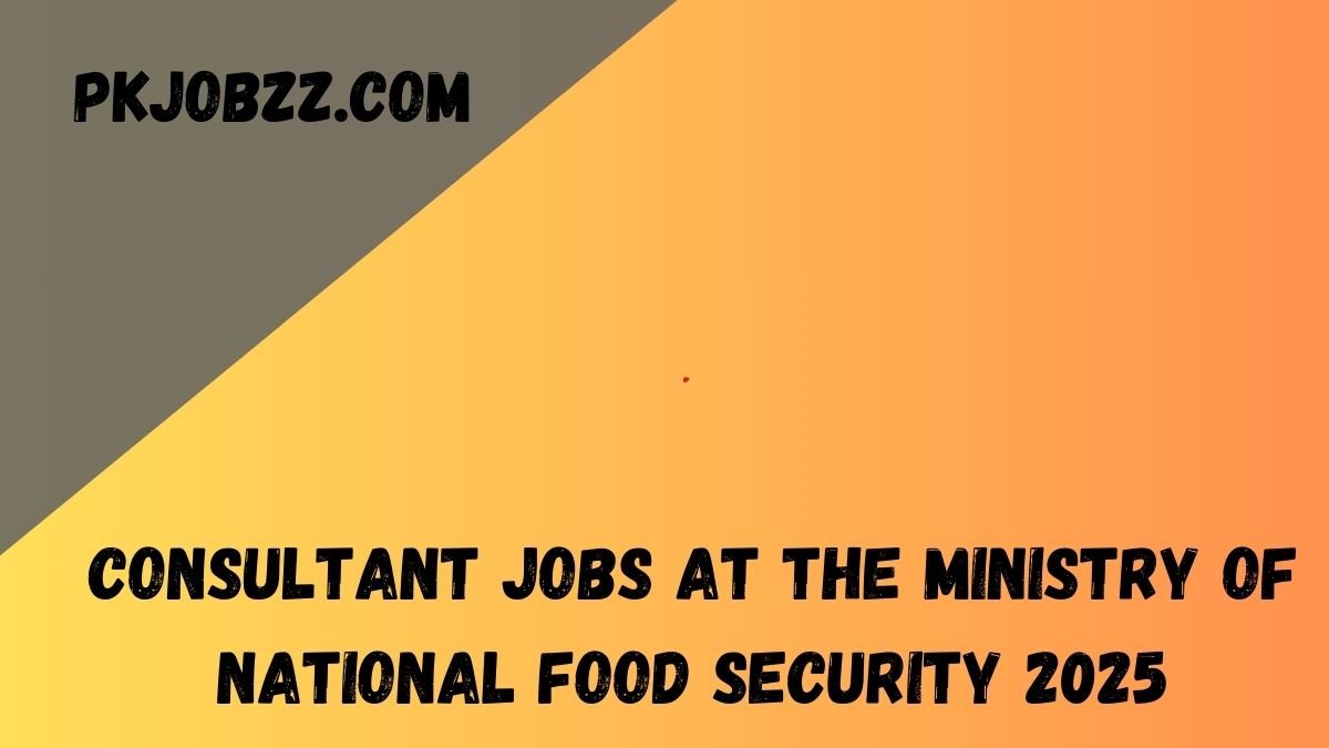 Consultant Jobs at the Ministry of National Food Security 2025