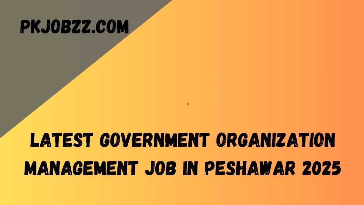 Latest Government Organization Management Job in Peshawar 2025