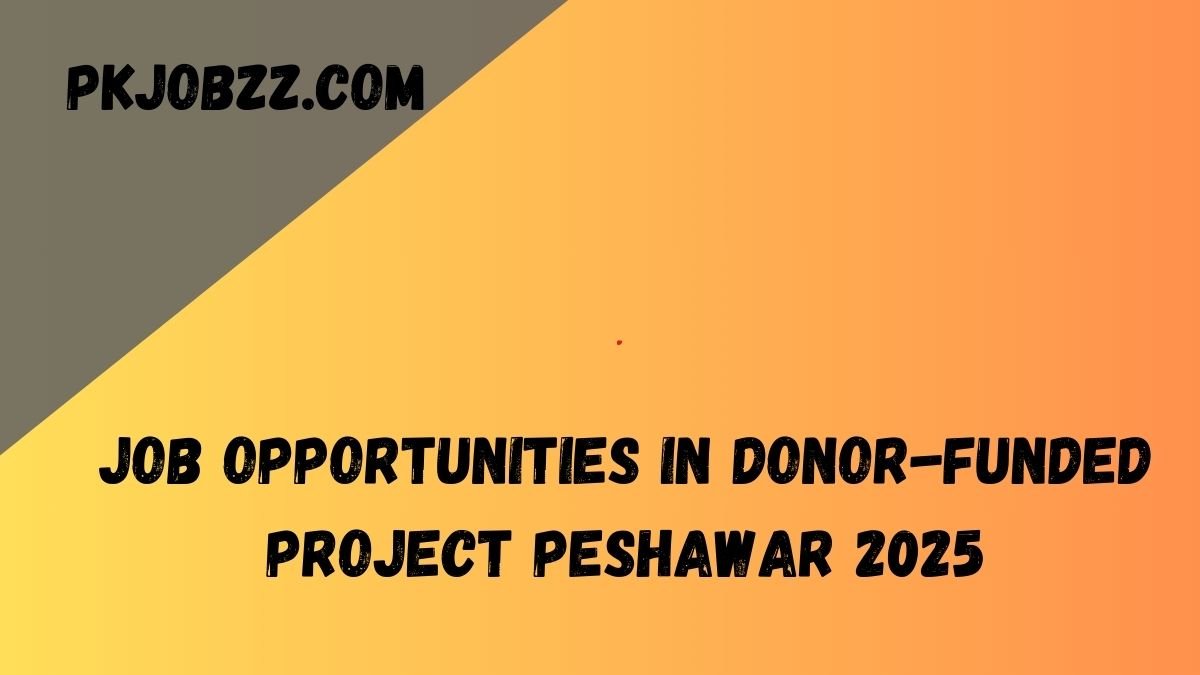 Job Opportunities in Donor-Funded Project Peshawar 2025