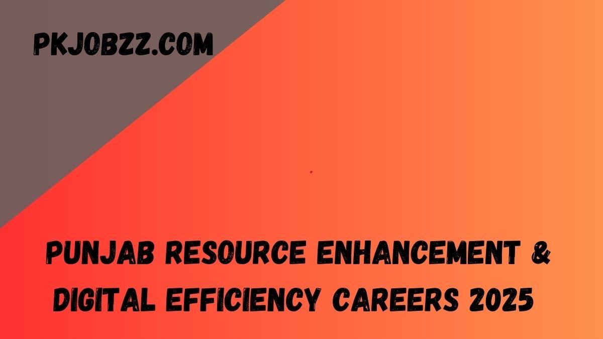 Punjab Resource Improvement & Digital Effectiveness Careers 2025