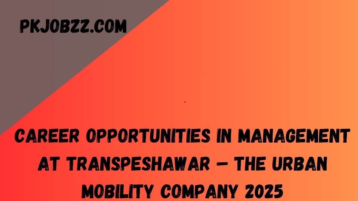 Career Opportunities in Management at TransPeshawar – The Urban Mobility Company 2025