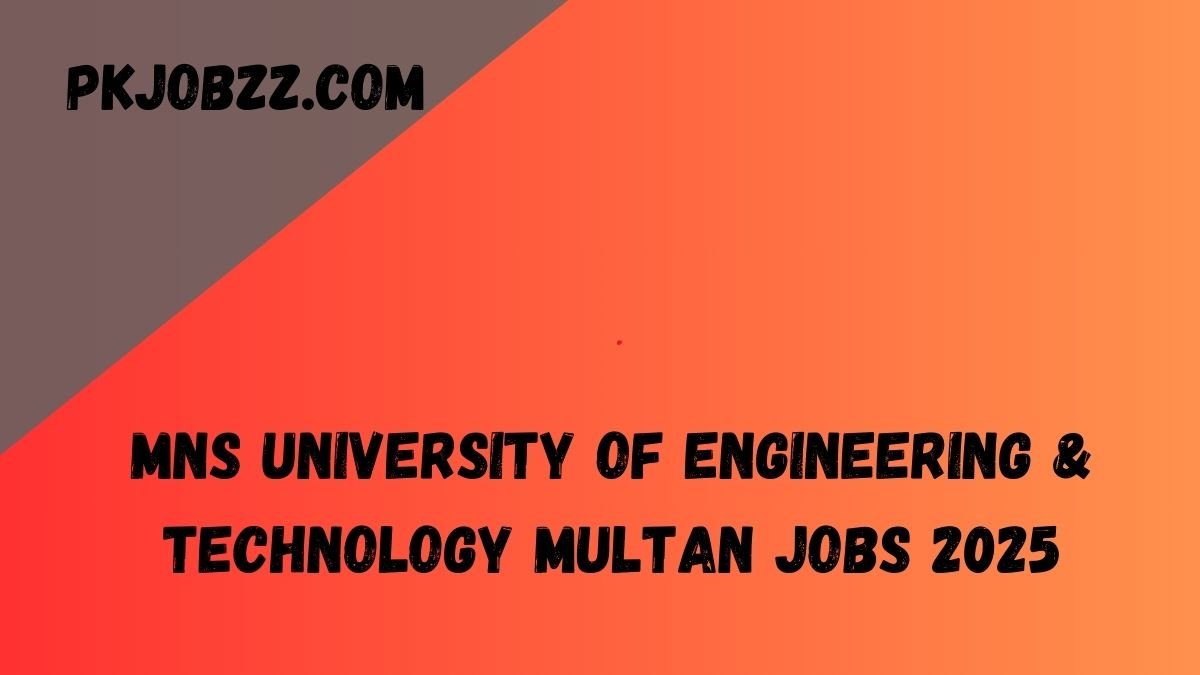 MNS University of Engineering & Technology Multan Jobs 2025