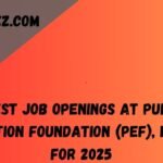 Latest Job Openings at Punjab Education Foundation (PEF), Lahore for 2025