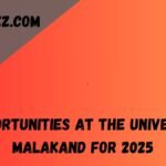 Job Opportunities at the University of Malakand for 2025