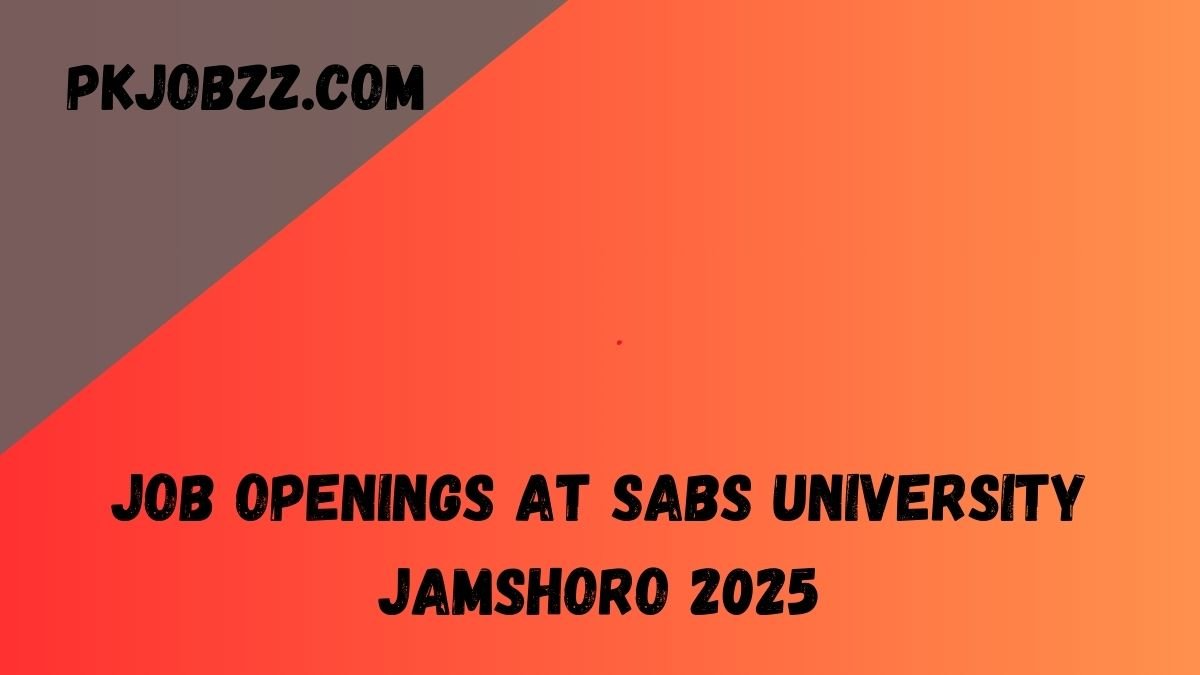 Job Openings at SABS University Jamshoro 2025